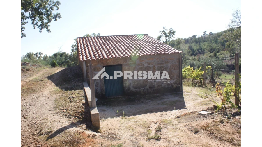 Quinta para Venda em Pero Viseu Foto 1