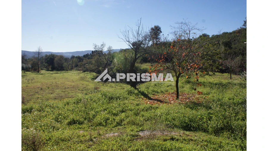 Quinta para Venda em Pero Viseu Foto 14