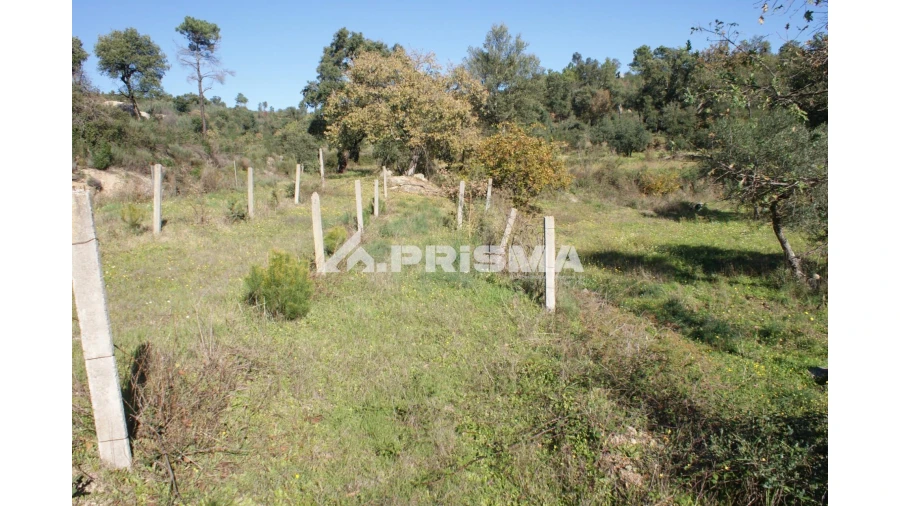Quinta para Venda em Pero Viseu Foto 18
