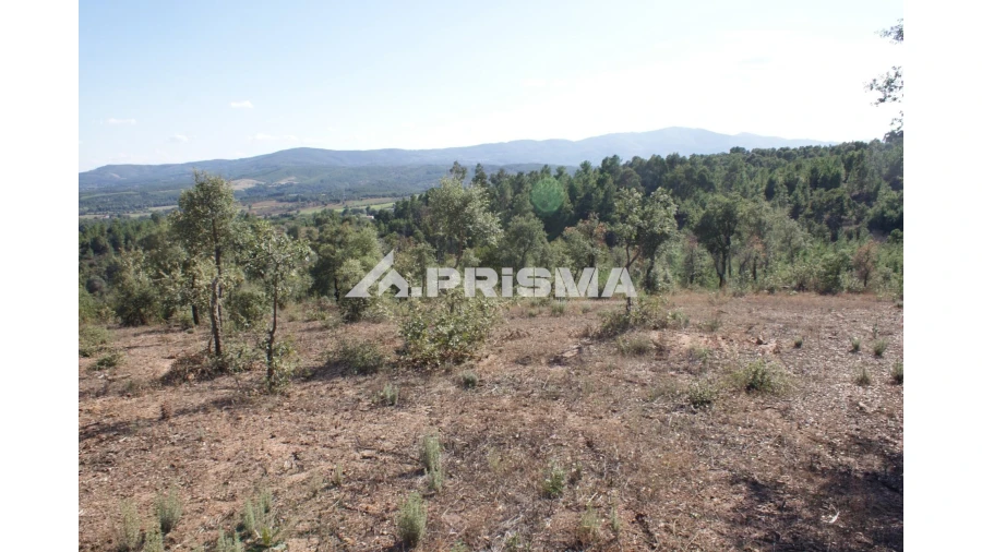 Quinta para Venda em Pero Viseu Foto 9
