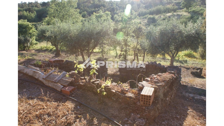 Quinta para Venda em Pero Viseu Foto 31