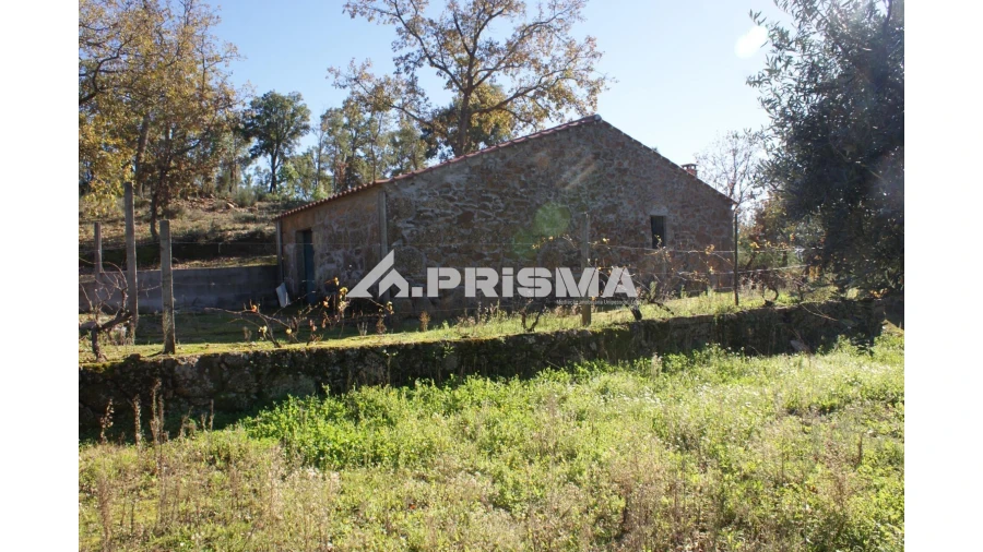 Quinta para Venda em Pero Viseu Foto 22