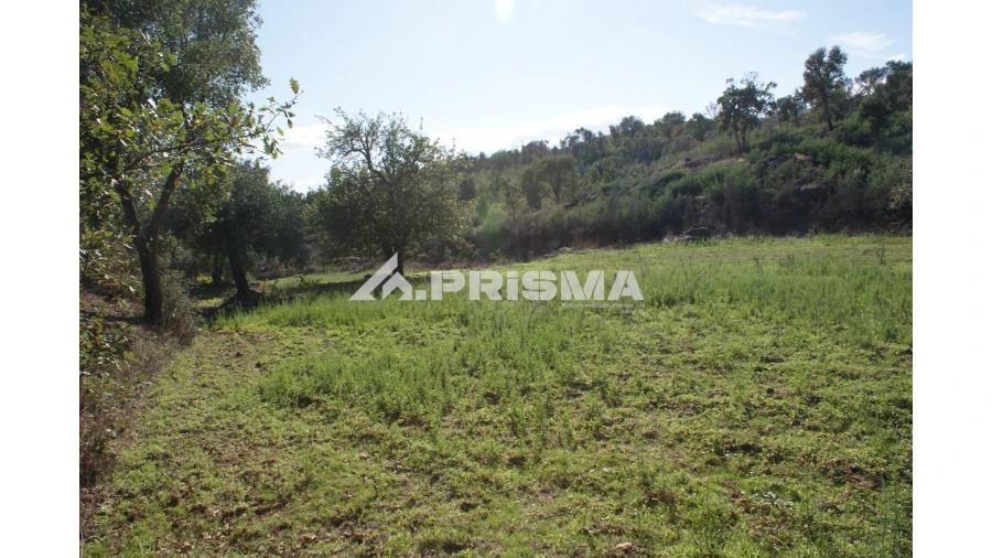 Quinta para Venda em Pero Viseu Foto 13