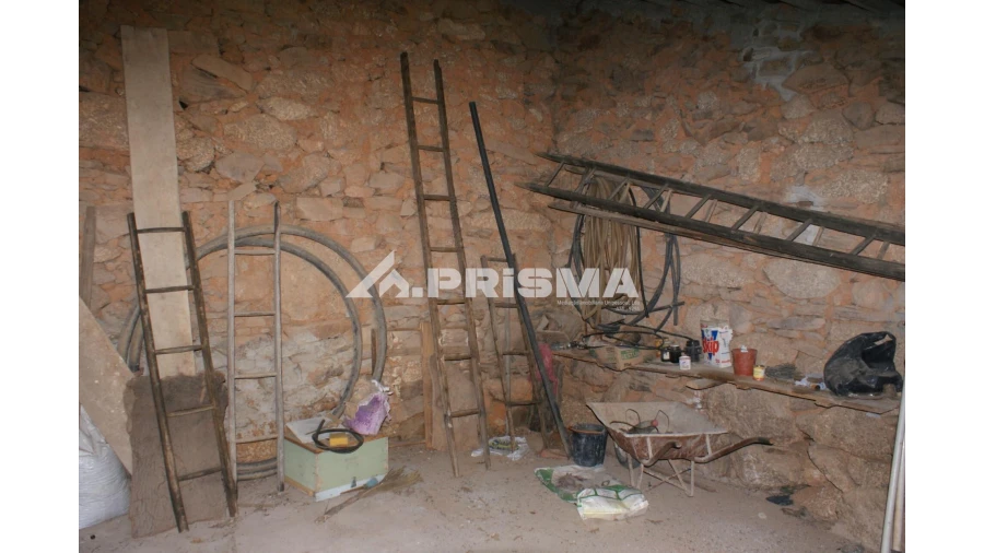 Quinta para Venda em Pero Viseu Foto 23