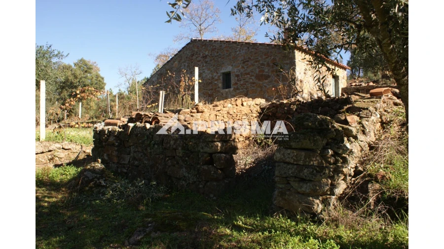 Quinta para Venda em Pero Viseu Foto 21