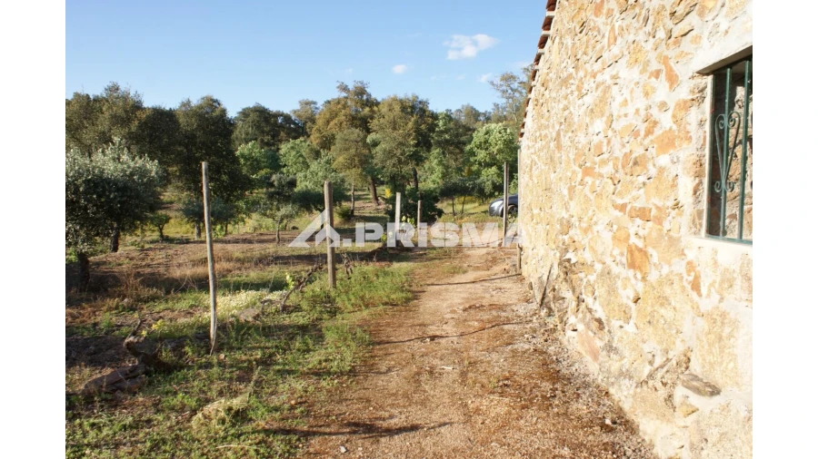 Quinta para Venda em Pero Viseu Foto 33