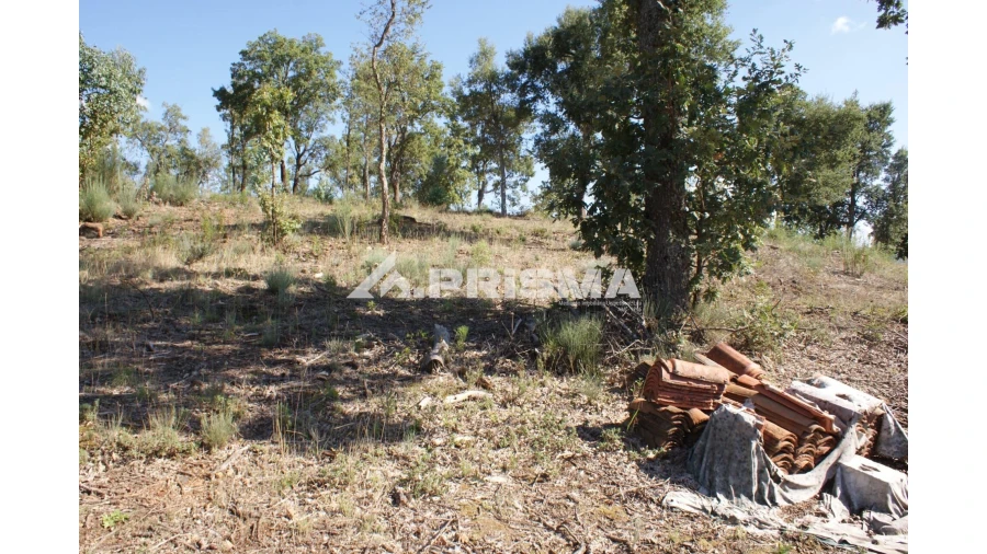 Quinta para Venda em Pero Viseu Foto 5