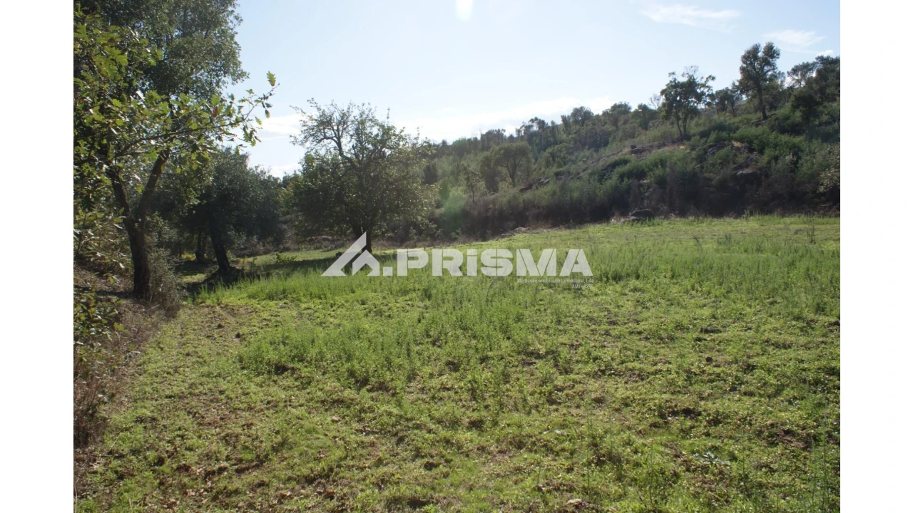 Quinta para Venda em Pero Viseu Foto 13