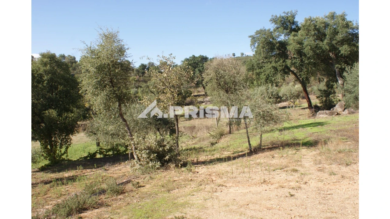 Quinta para Venda em Pero Viseu Foto 3