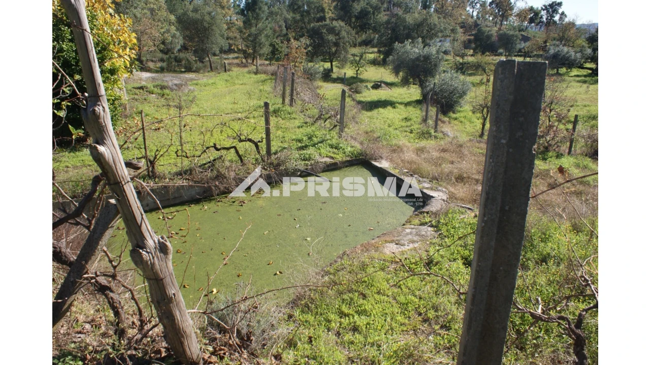 Quinta para Venda em Pero Viseu Foto 16