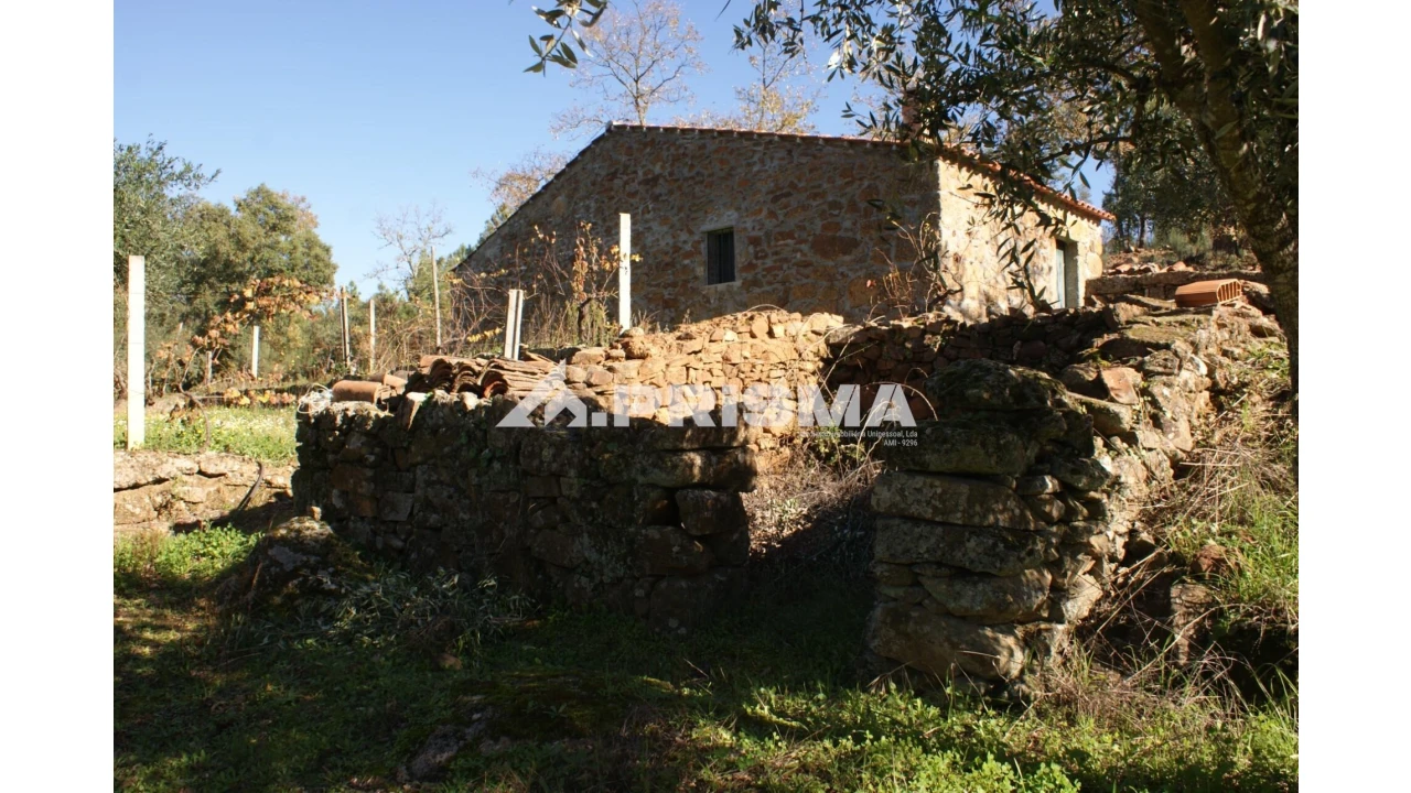 Quinta para Venda em Pero Viseu Foto 21