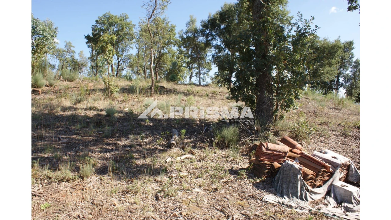 Quinta para Venda em Pero Viseu Foto 5