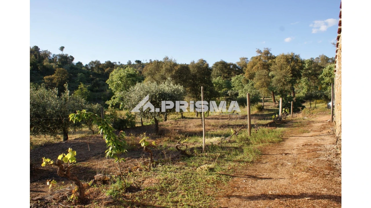 Quinta para Venda em Pero Viseu Foto 30