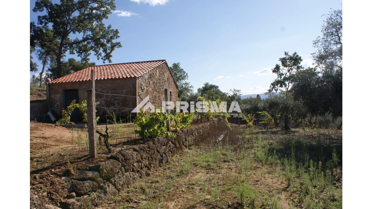 Quinta para Venda em Pero Viseu Foto 4