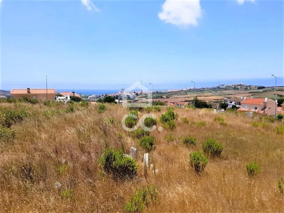 Terreno para Venda em Lourinhã e Atalaia Foto 5