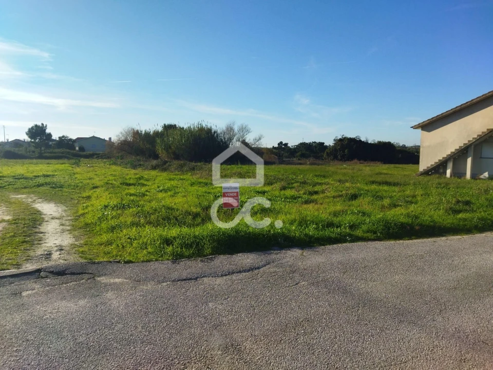 Terreno para Venda em Vieira de Leiria Foto 3