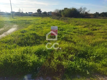 Terreno para Venda em Vieira de Leiria