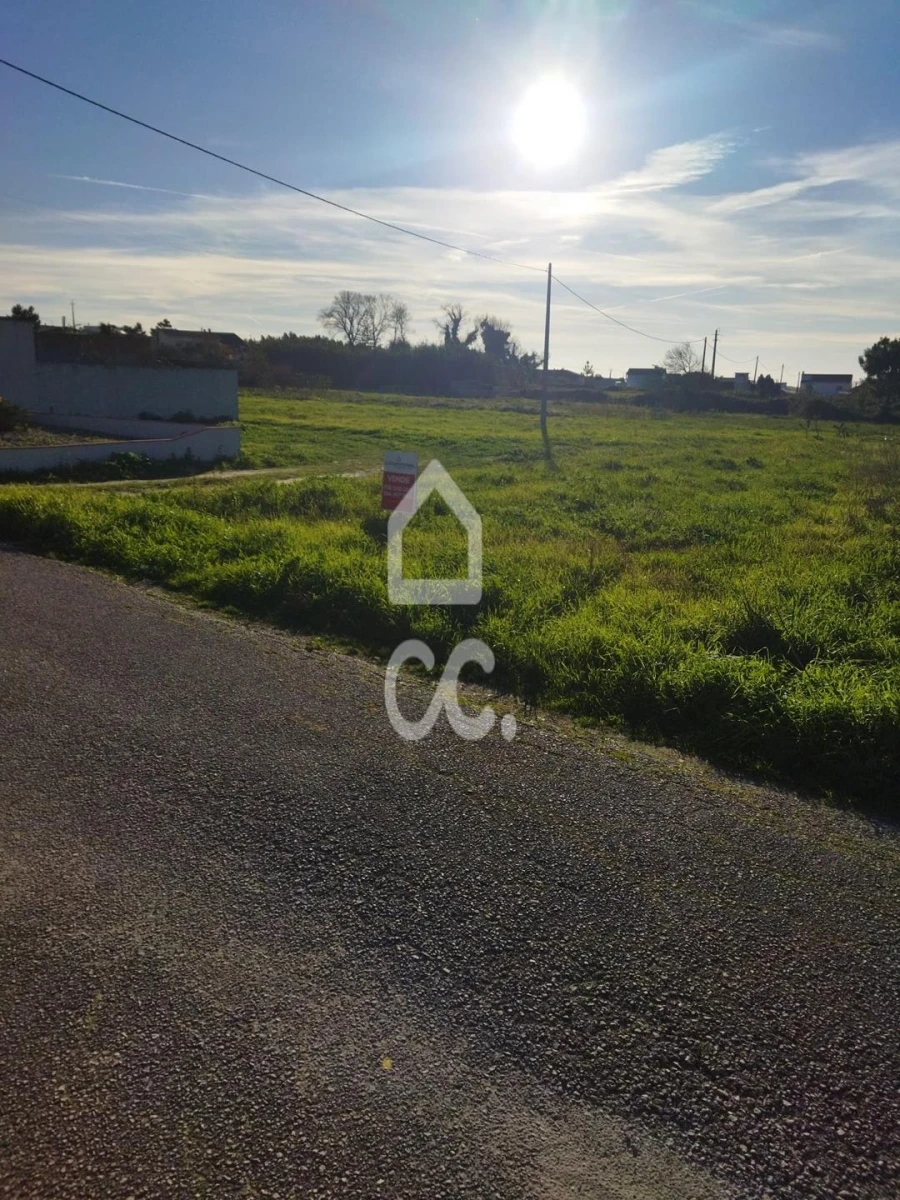 Terreno para Venda em Vieira de Leiria Foto 6