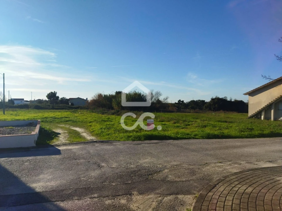 Terreno para Venda em Vieira de Leiria Foto 9