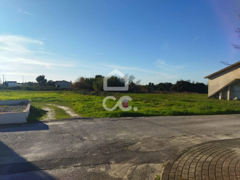 Terreno para Venda em Vieira de Leiria Foto 2