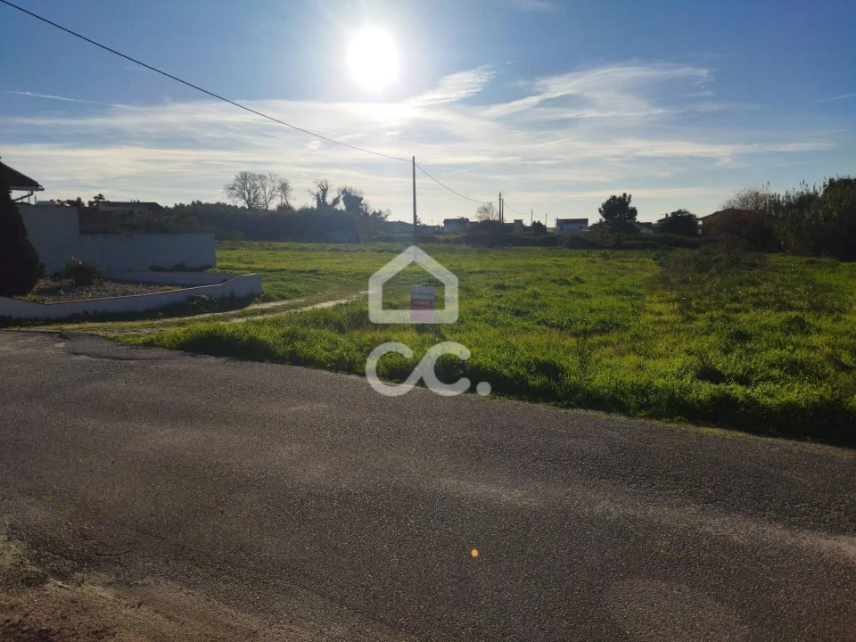 Terreno para Venda em Vieira de Leiria Foto 5