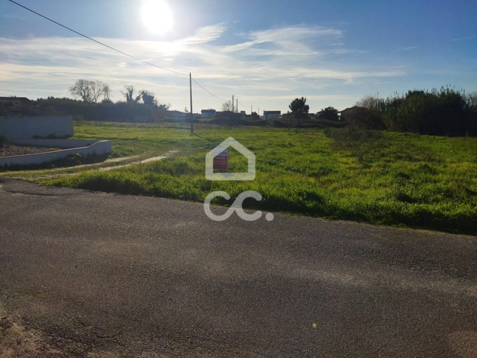 Terreno para Venda em Vieira de Leiria Foto 1