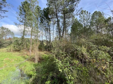 Terreno Agricola ou Rústico para Venda em Sarzedas