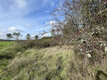 Terreno Agricola ou Rústico para Venda em Sarzedas
