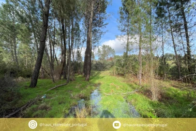 Terreno Agricola ou Rústico para Venda em Sarzedas
