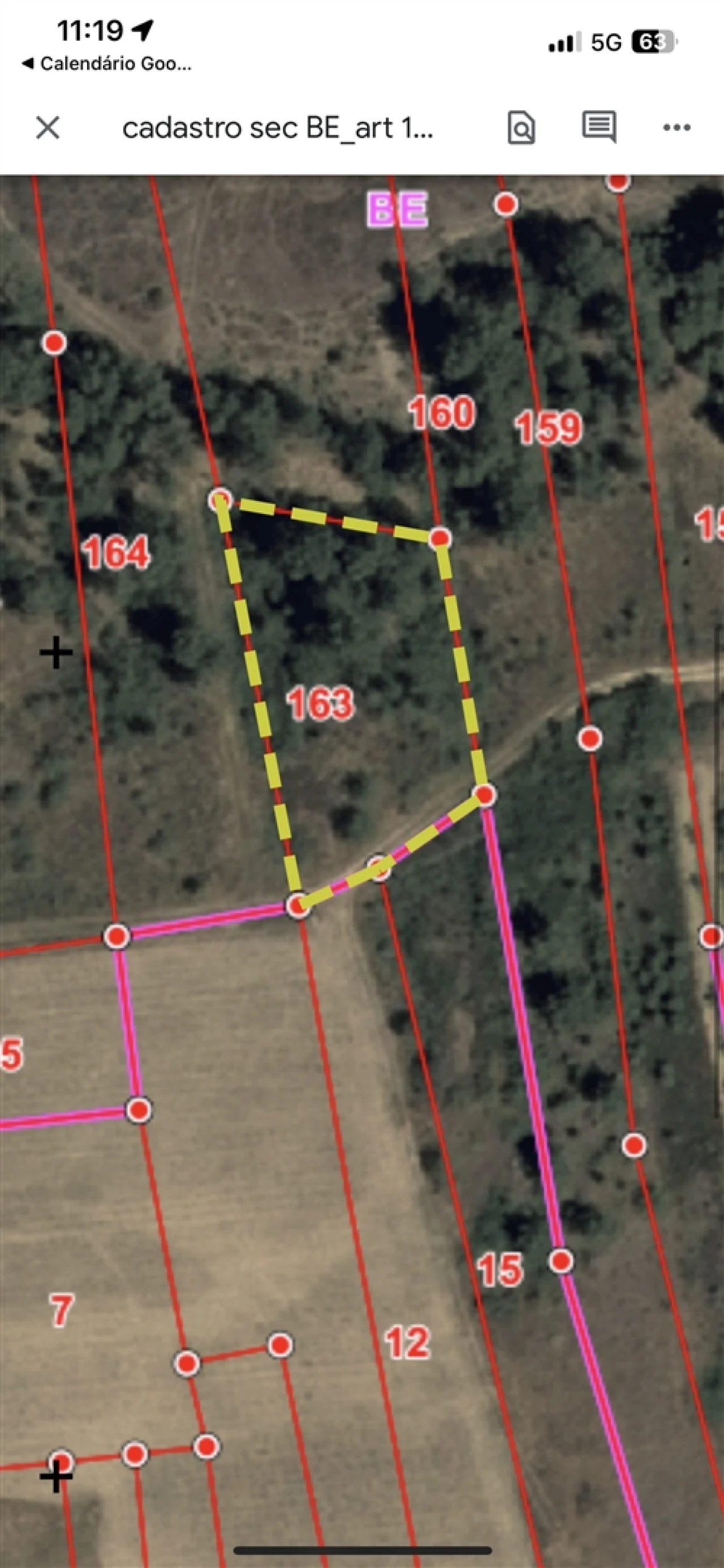 Terreno Agricola ou Rústico para Venda em Sarzedas Foto 8