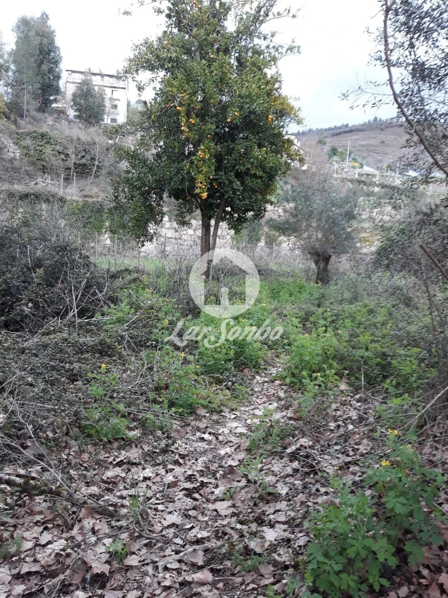 Moradia T2 para Venda em Mondim de Basto Foto 4