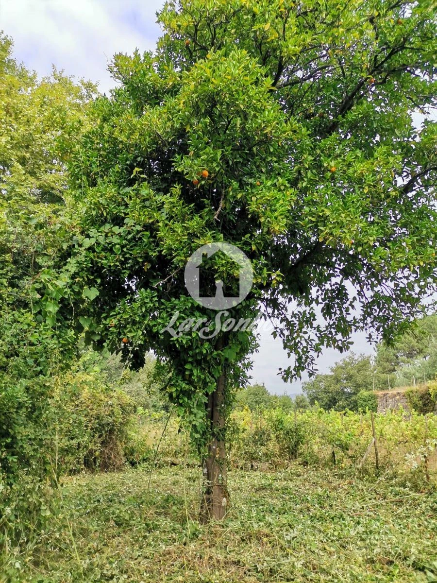 Moradia T2 para Venda em Mondim de Basto Foto 8