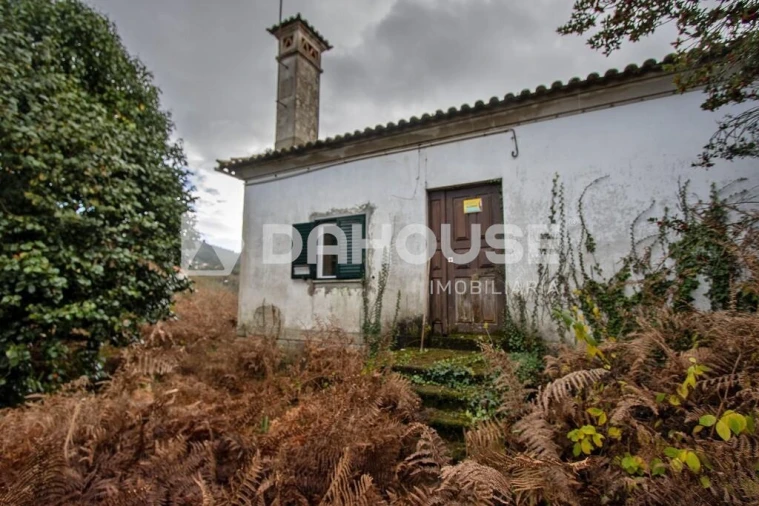 Quinta T4 para Venda em Loivo Foto 28