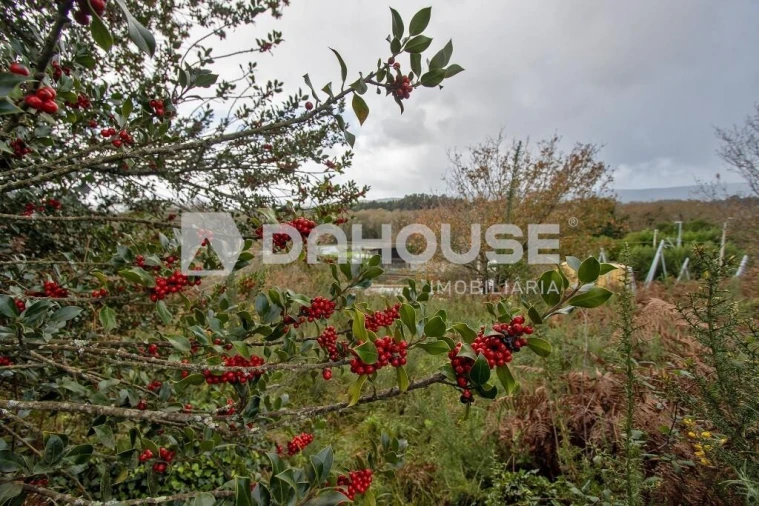 Quinta T4 para Venda em Loivo Foto 29