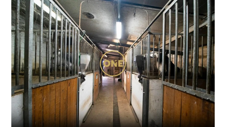 Quinta T3 para Venda em Nogueira e Silva Escura Foto 25