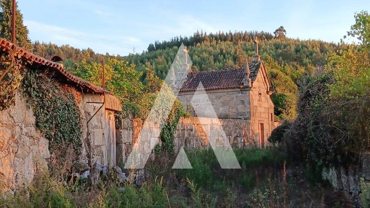 Quinta T10 para Venda em Selho (São Cristovão) Foto 18