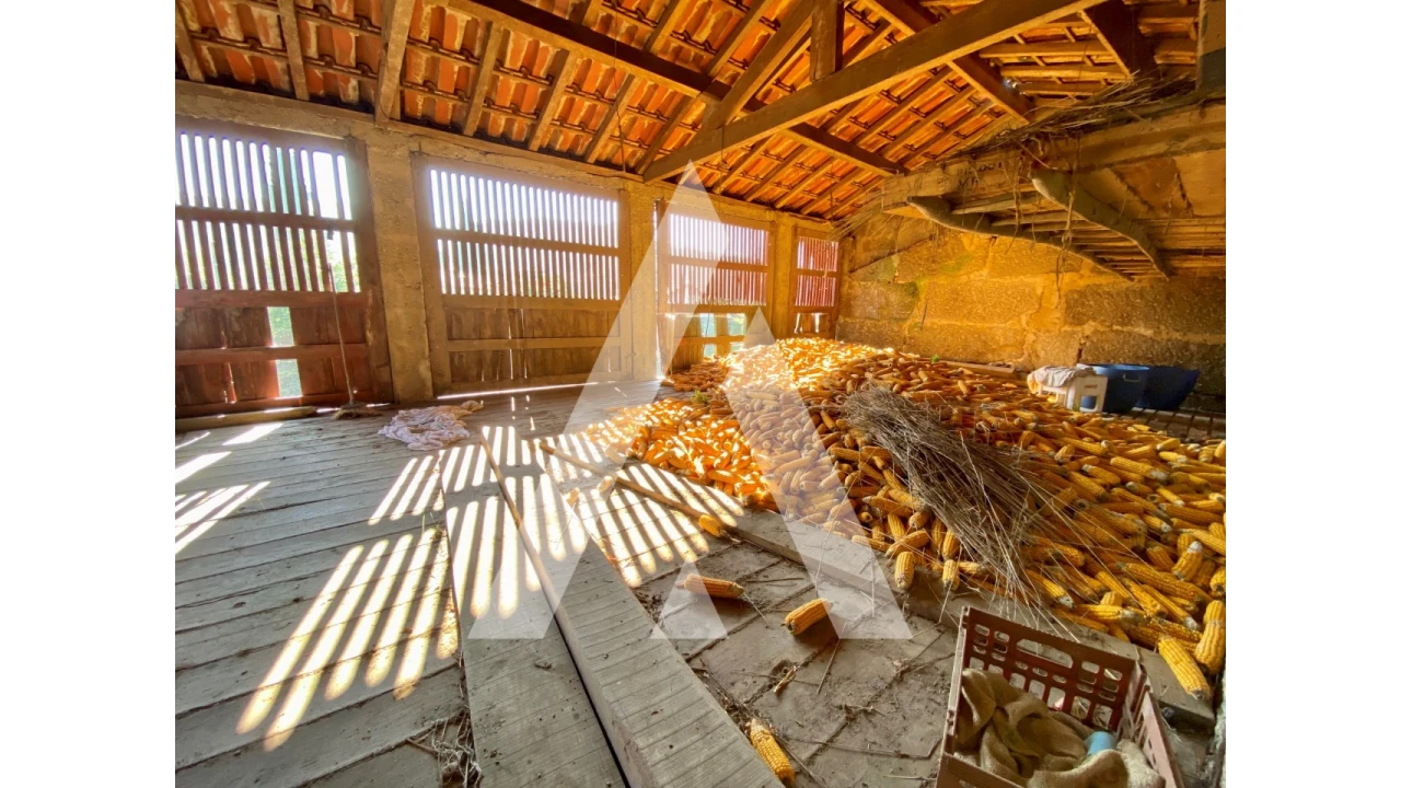 Quinta T10 para Venda em Selho (São Cristovão) Foto 23