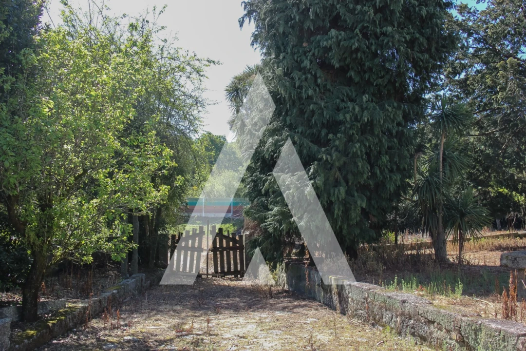 Quinta T10 para Venda em Selho (São Cristovão) Foto 3