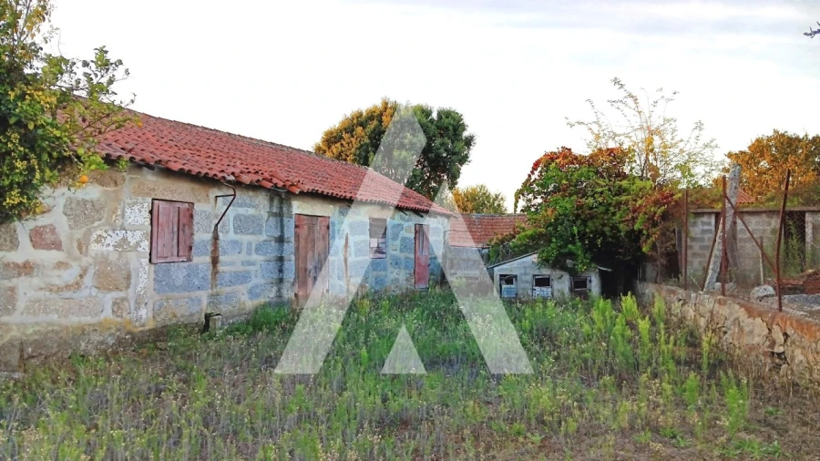 Quinta T10 para Venda em Selho (São Cristovão) Foto 16