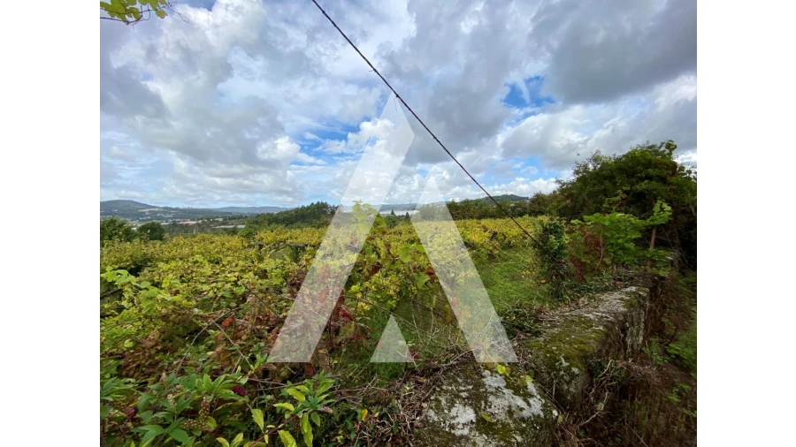 Quinta T10 para Venda em Selho (São Cristovão) Foto 32