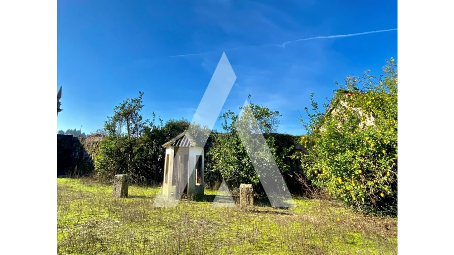 Quinta T10 para Venda em Selho (São Cristovão) Foto 22