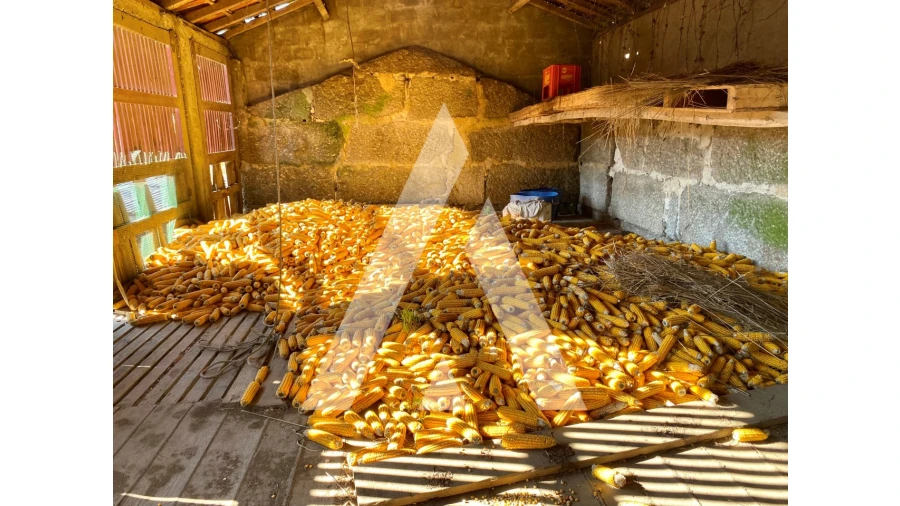 Quinta T10 para Venda em Selho (São Cristovão) Foto 24