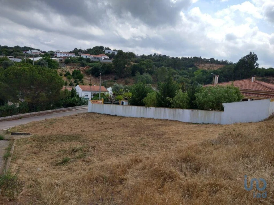 Terreno para Venda em Chamusca e Pinheiro Grande Foto 4