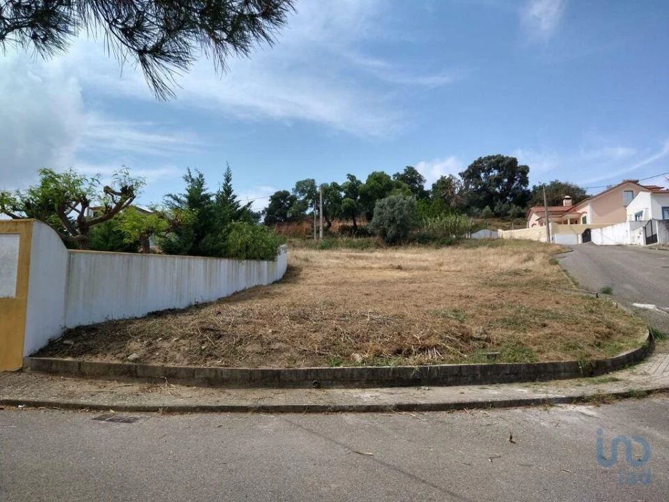 Terreno para Venda em Chamusca e Pinheiro Grande Foto 2