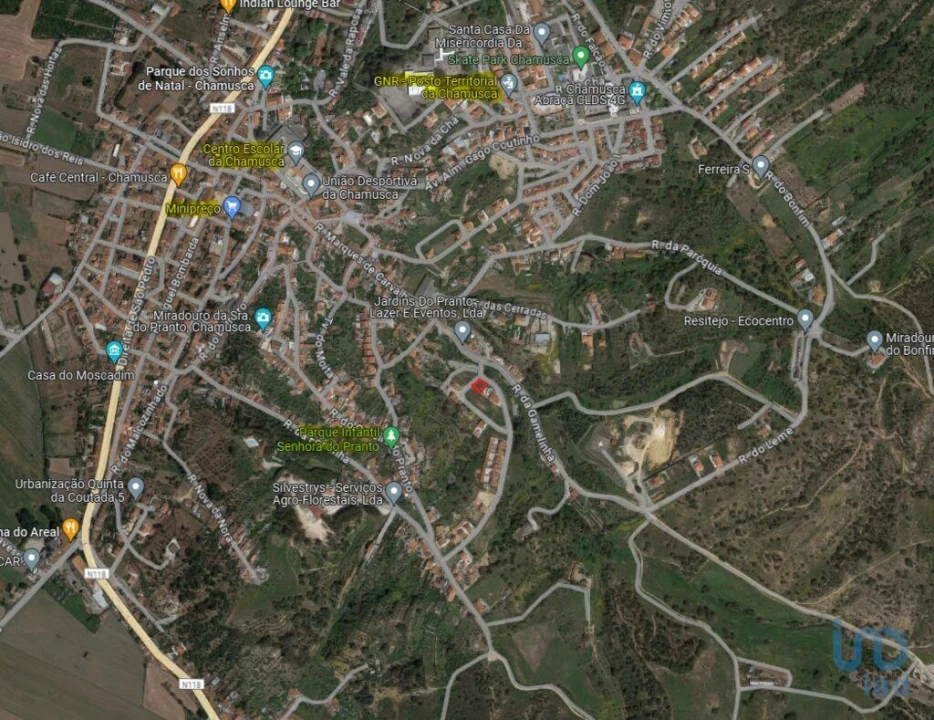 Terreno para Venda em Chamusca e Pinheiro Grande Foto 5