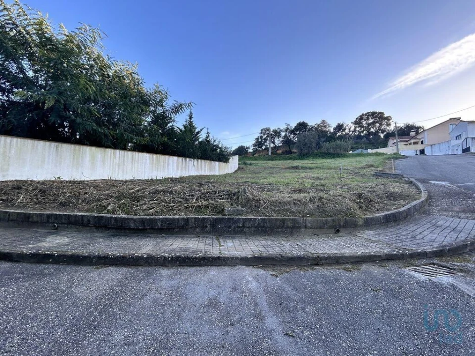 Terreno para Venda em Chamusca e Pinheiro Grande Foto 11