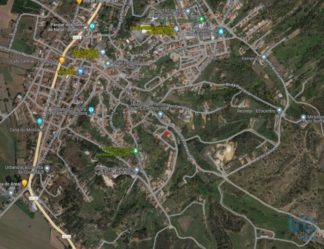 Terreno para Venda em Chamusca e Pinheiro Grande Foto 5