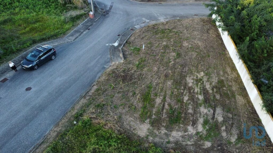 Terreno para Venda em Chamusca e Pinheiro Grande Foto 10