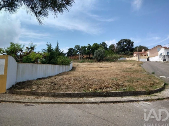 Terreno para Venda em Chamusca e Pinheiro Grande Foto 19