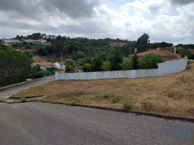 Terreno para Venda em Chamusca e Pinheiro Grande Foto 3